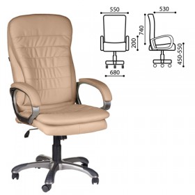Кресло офисное BRABIX Omega EX-589 в Липецке - lipeck.katalogmebeli.com | фото