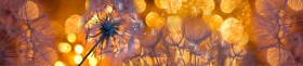 Кухонный фартук Мерцание Одуванчики золотистые 3 серебро в Липецке - lipeck.katalogmebeli.com | фото