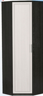 Шкаф для одежды угловой ДЛЯ ГОСТИНОЙ ШОУ-695 Венге/Дуб выбеленный в Липецке - lipeck.katalogmebeli.com | фото