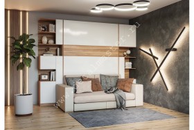Шкаф-кровать с диваном Дина в Липецке - lipeck.katalogmebeli.com | фото 1